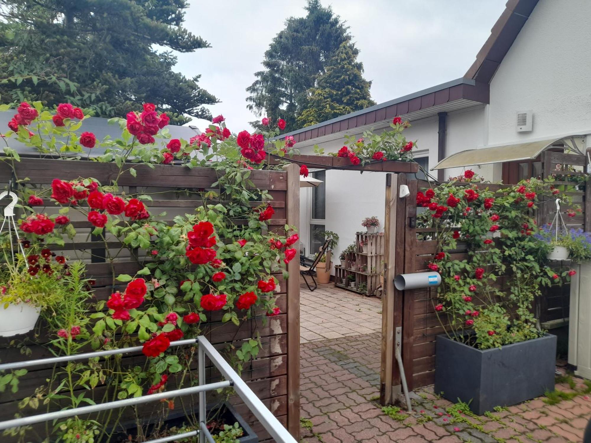 Pension Entenhausen Schwentinental Bagian luar foto